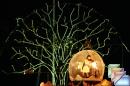 world famous terrafolk * (24 Diapositives)